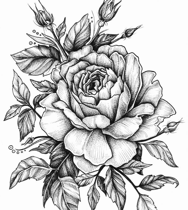 Růže lásky a její trny – XIX. Květina